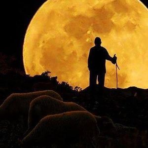 Meet your Posher, Sheri